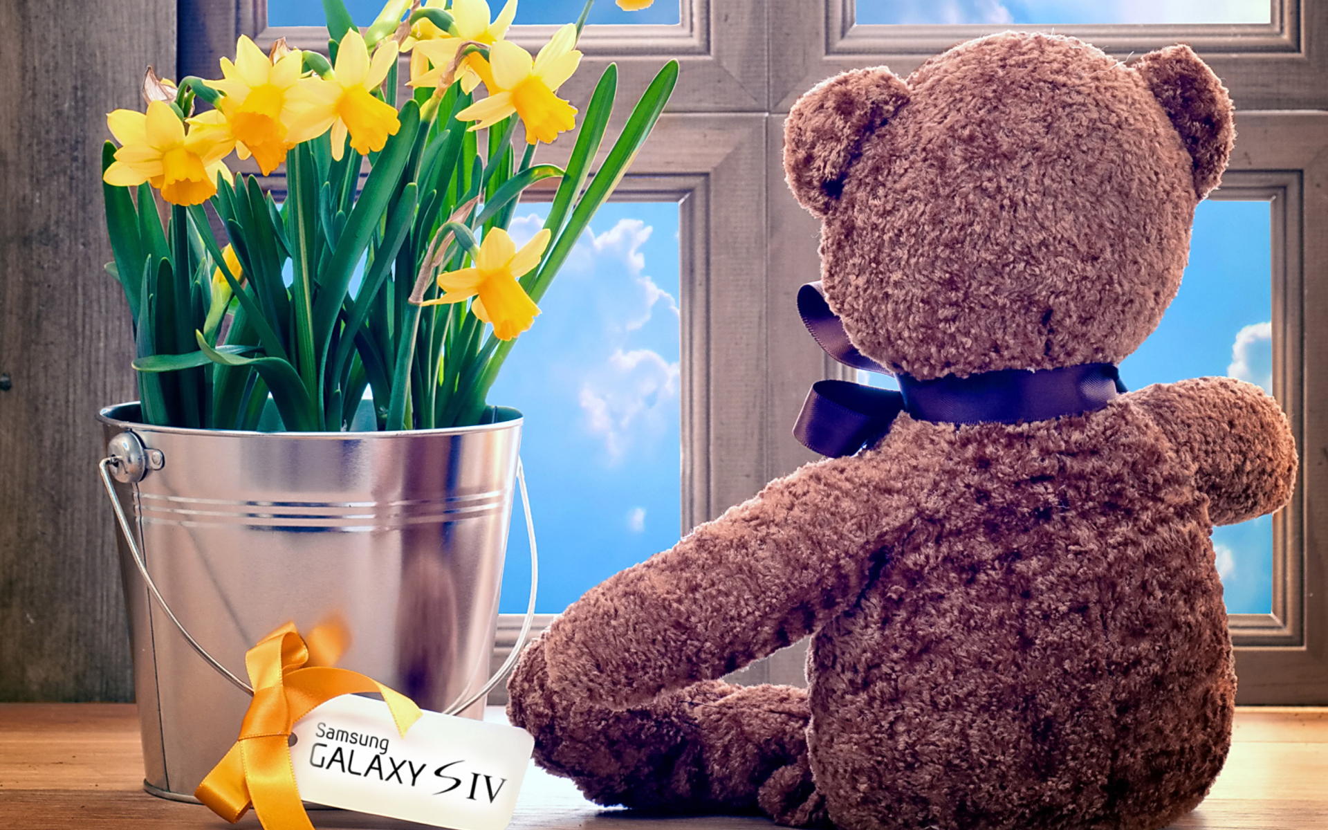 Обои Teddy Bear with Bouquet 1920x1200