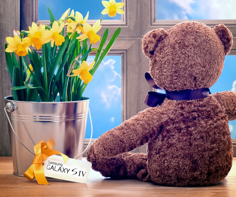 Das Teddy Bear with Bouquet Wallpaper 480x400