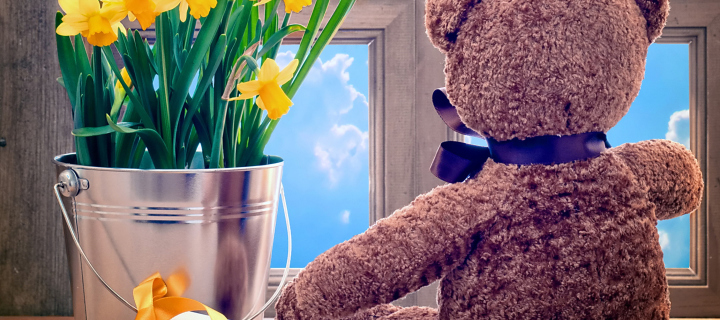 Обои Teddy Bear with Bouquet 720x320