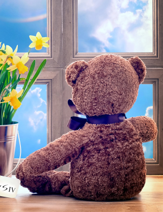 Teddy Bear with Bouquet - Obrázkek zdarma pro 132x176