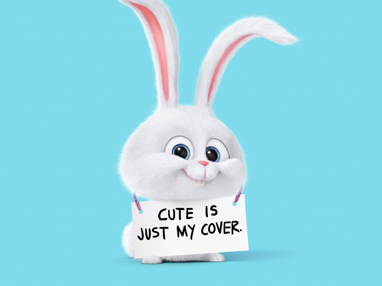 Обои Snowball from The Secret Life of Pets 1600x1200