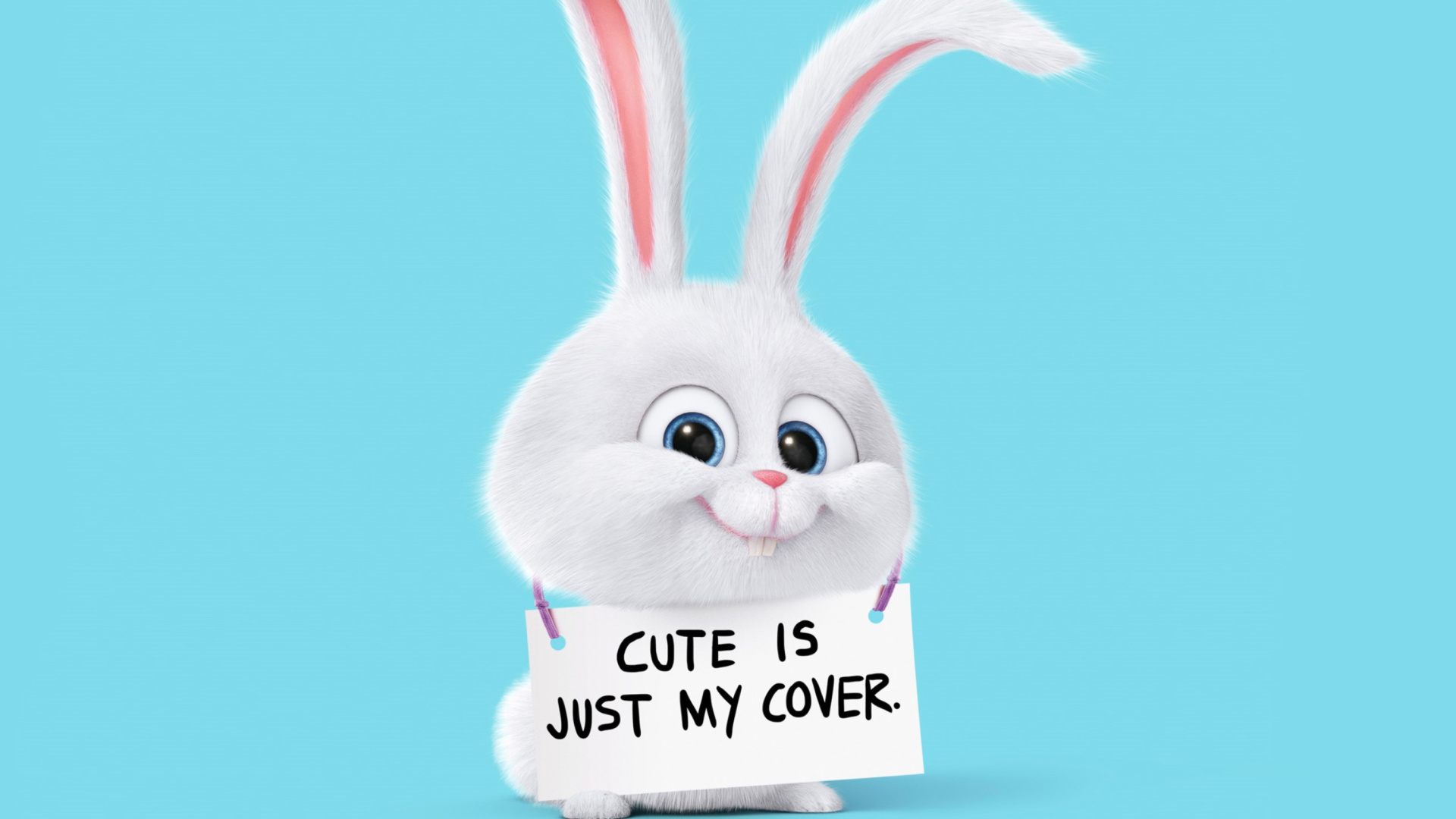 Snowball from The Secret Life of Pets wallpaper 1920x1080