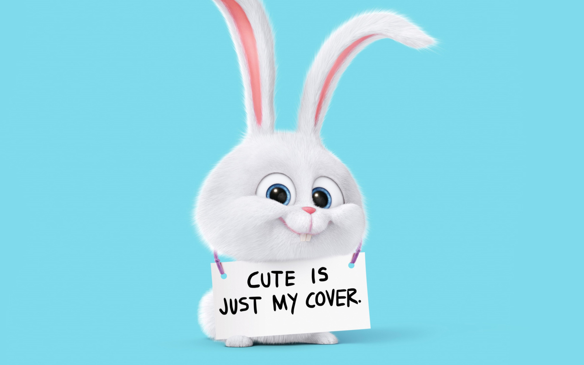 Обои Snowball from The Secret Life of Pets 1920x1200
