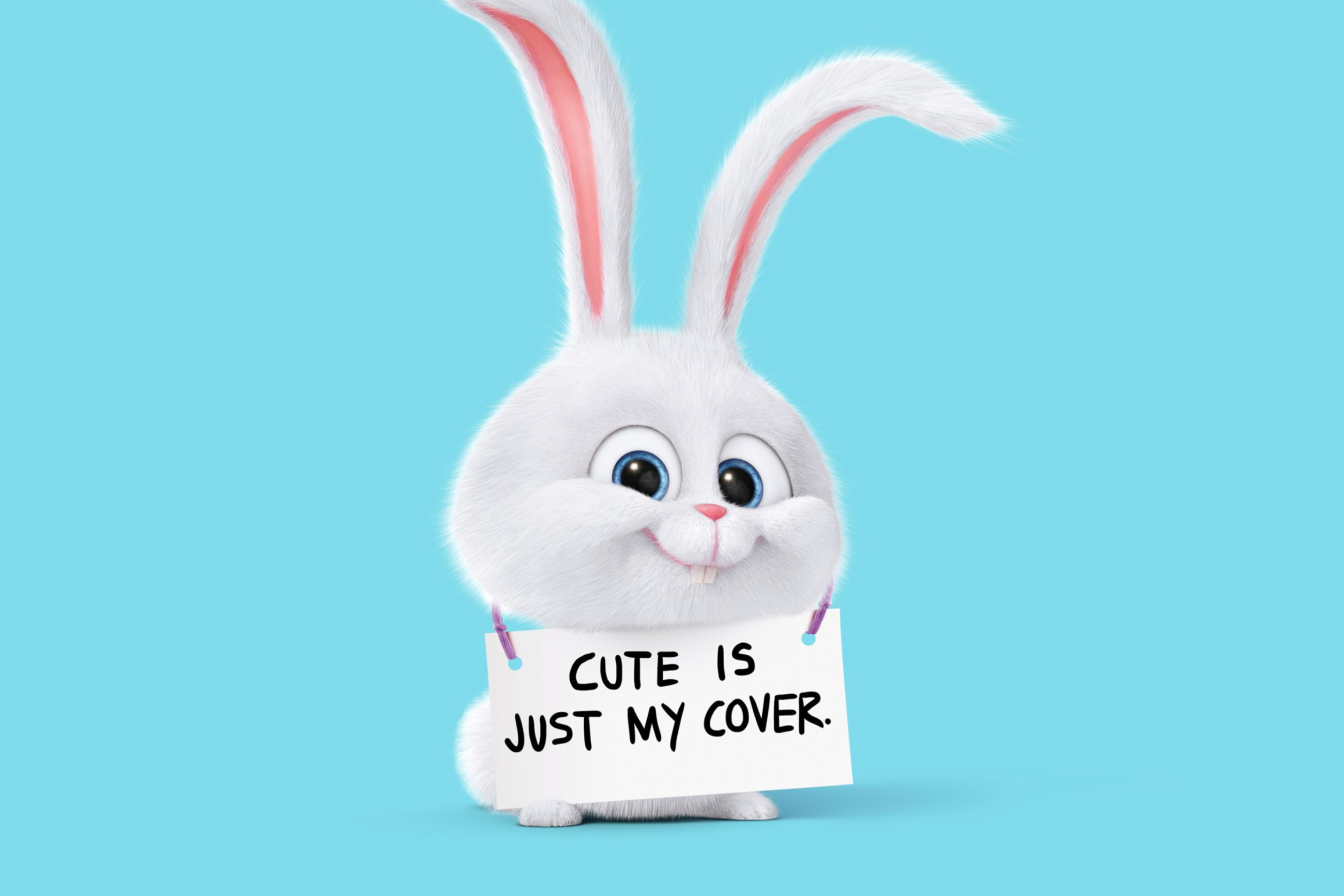 Snowball from The Secret Life of Pets wallpaper 2880x1920