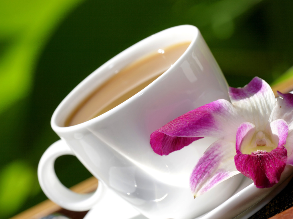 Das Orchid and Coffee Wallpaper 1024x768