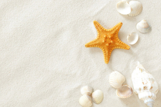 White Sand Background for Android, iPhone and iPad