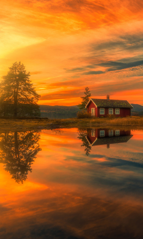 Das Ringerike Norway Wallpaper 480x800