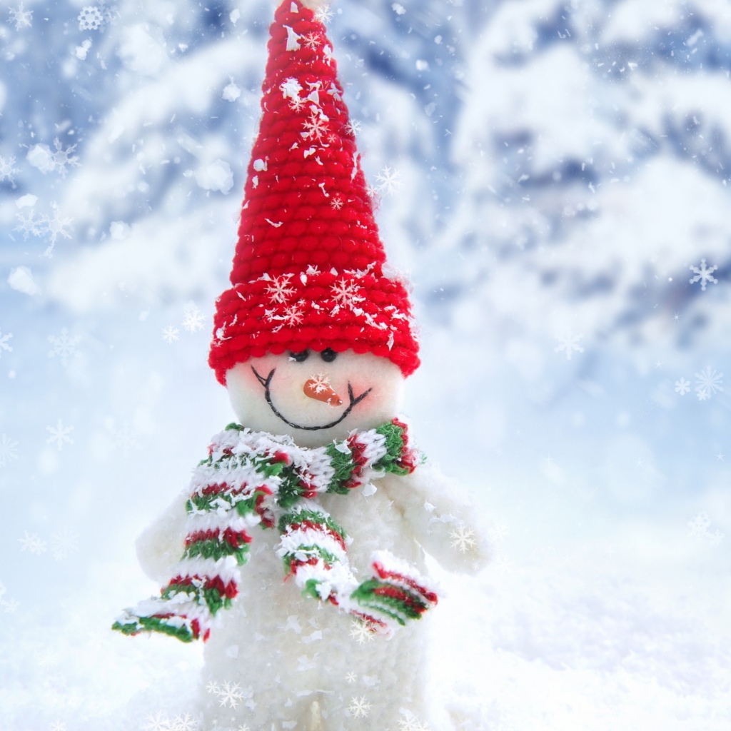 Sfondi Cute Snowman Red Hat 1024x1024