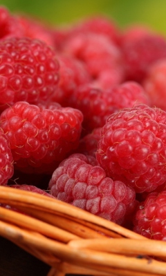Fondo de pantalla Sweet Raspberries 240x400