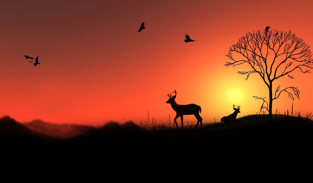 Обои Deer Silhouettes At Red Sunset 1024x600