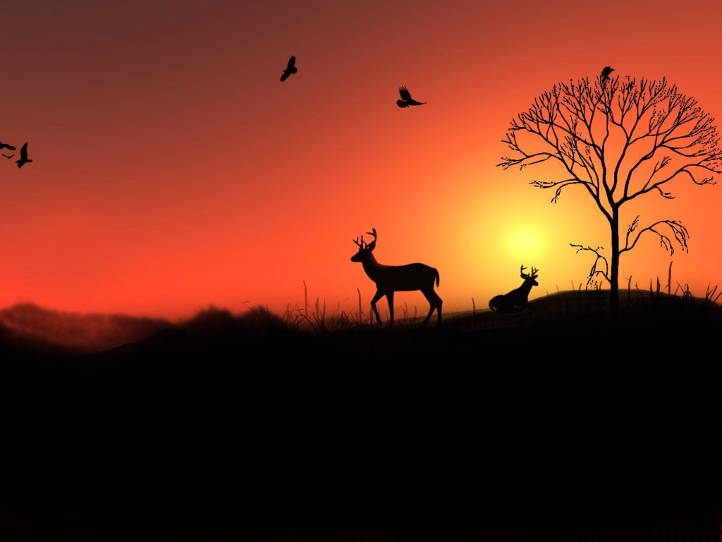 Обои Deer Silhouettes At Red Sunset 1024x768