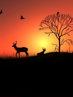 Fondo de pantalla Deer Silhouettes At Red Sunset 240x320