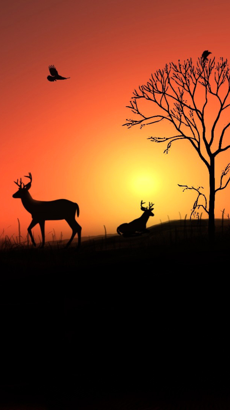 Fondo de pantalla Deer Silhouettes At Red Sunset 750x1334