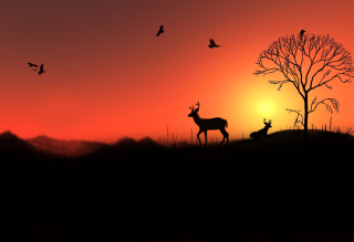 Kostenloses Deer Silhouettes At Red Sunset Wallpaper für Android, iPhone und iPad