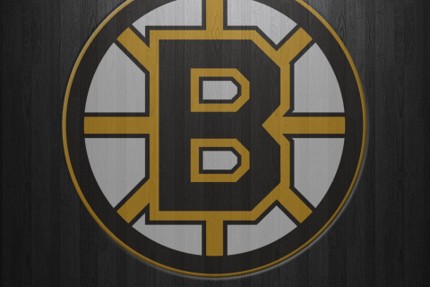 Fondo de pantalla Boston Bruins 480x320