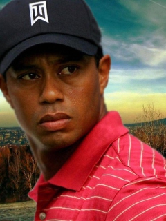 Screenshot №1 pro téma Tiger Woods 240x320