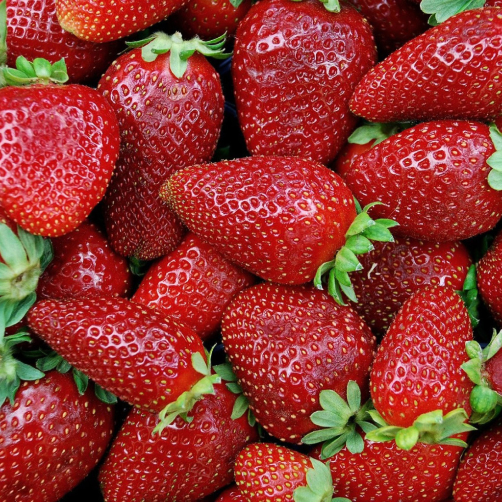 Strawberries wallpaper 1024x1024