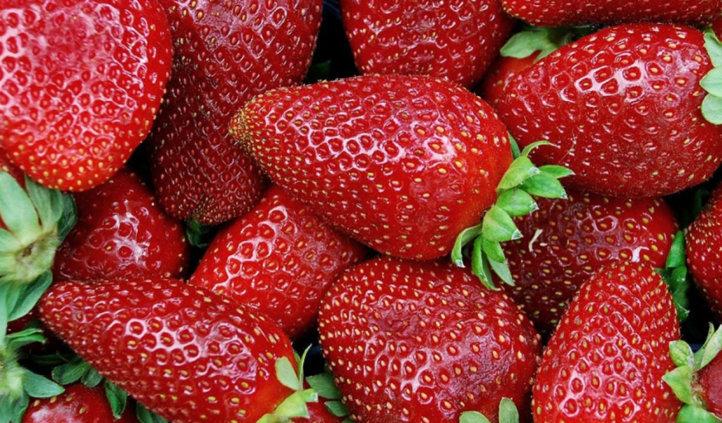 Screenshot №1 pro téma Strawberries 1024x600