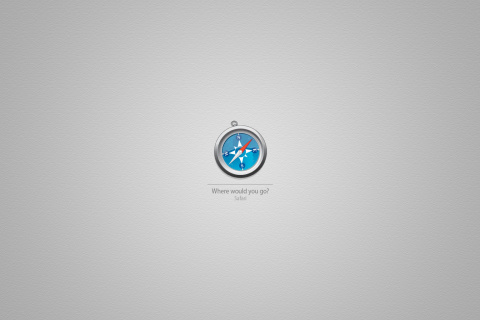 Tech Safari Browser screenshot #1 480x320