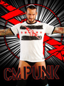 Screenshot №1 pro téma WWE CM Punk 132x176