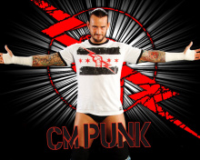 Fondo de pantalla WWE CM Punk 220x176