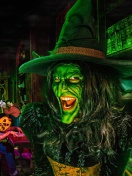 Das Wicked Witch Wallpaper 132x176