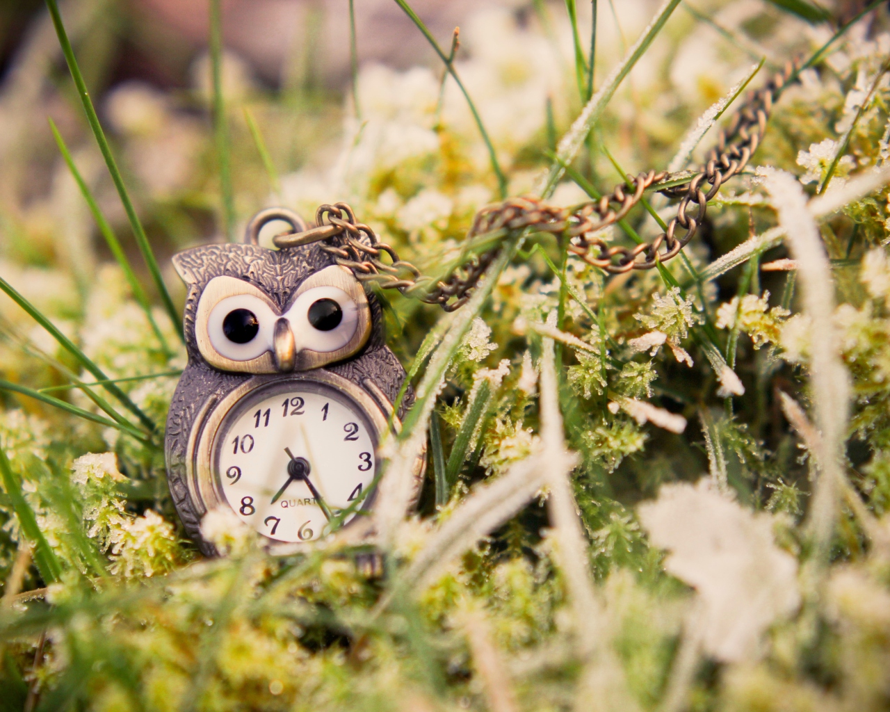 Das Owl Watch Pendant Wallpaper 1280x1024