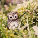 Sfondi Owl Watch Pendant 128x128