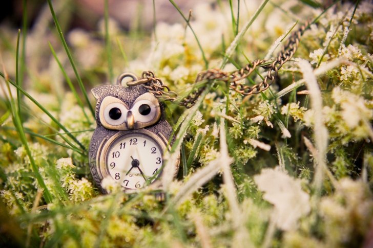 Das Owl Watch Pendant Wallpaper