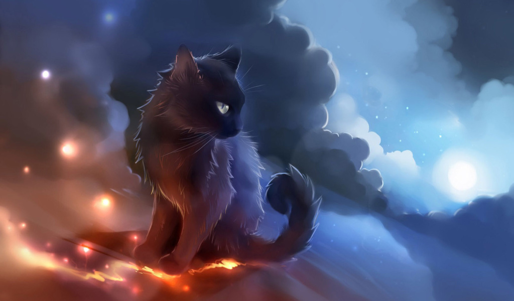 Das Kitten in Clouds Wallpaper 1024x600