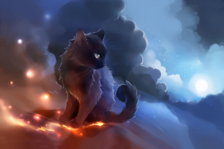 Kitten in Clouds Background for Android, iPhone and iPad