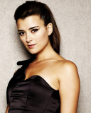 Cote de Pablo screenshot #1 128x160