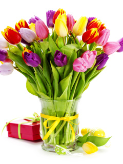 Fondo de pantalla Tulips Bouquet and Gift 240x320