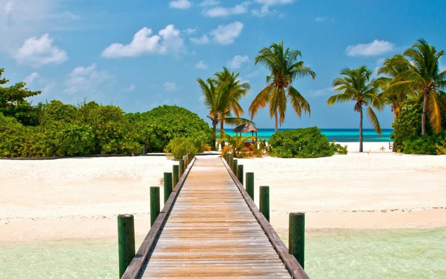 Screenshot №1 pro téma Bahamas Paradise 1440x900
