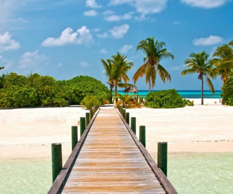 Screenshot №1 pro téma Bahamas Paradise 480x400