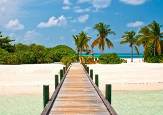 Bahamas Paradise - Obrázkek zdarma pro Nokia X2-01