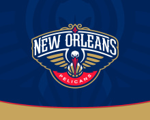 Fondo de pantalla New Orleans Pelicans 220x176