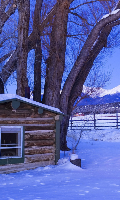 December in Cottage wallpaper 480x800