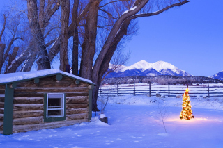 Free December in Cottage Picture for Android, iPhone and iPad