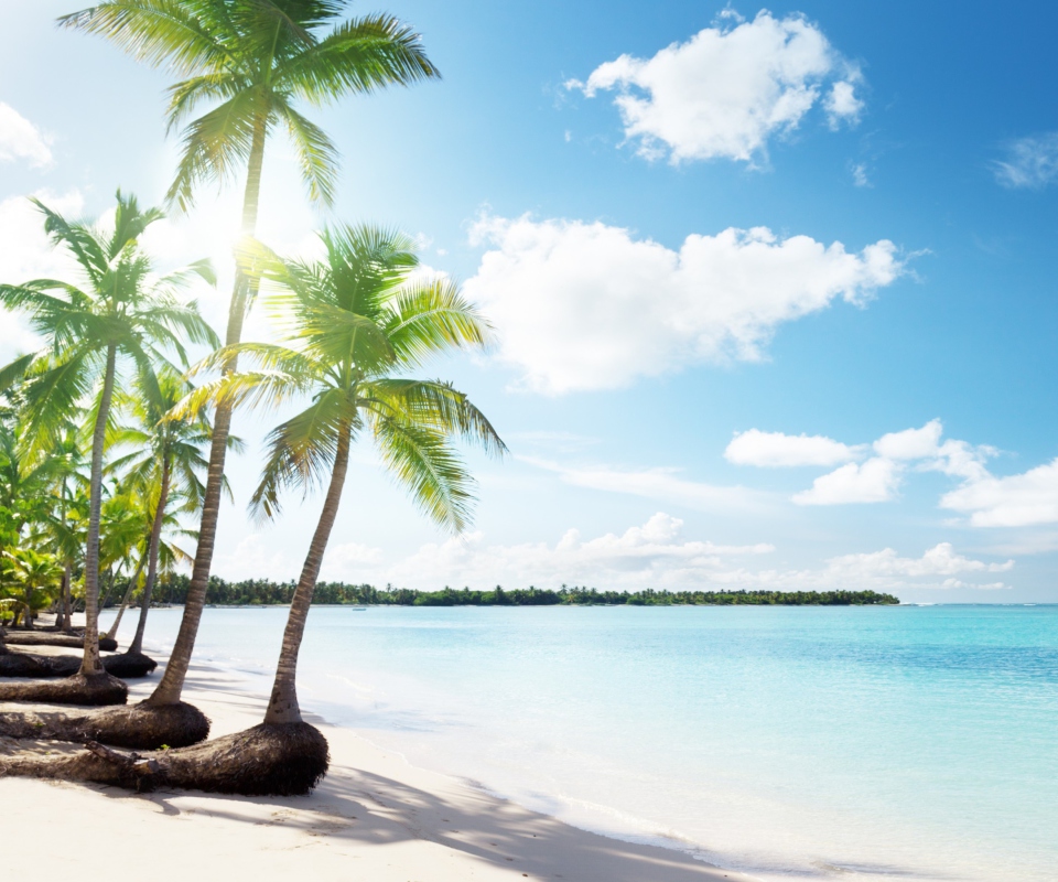 Paradise Beach screenshot #1 960x800