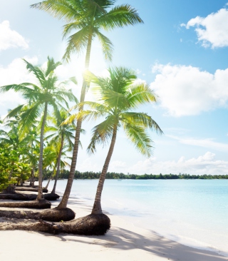 Paradise Beach - Obrázkek zdarma pro Nokia Lumia 2520