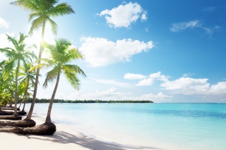 Paradise Beach - Obrázkek zdarma pro Samsung Galaxy Ace 4