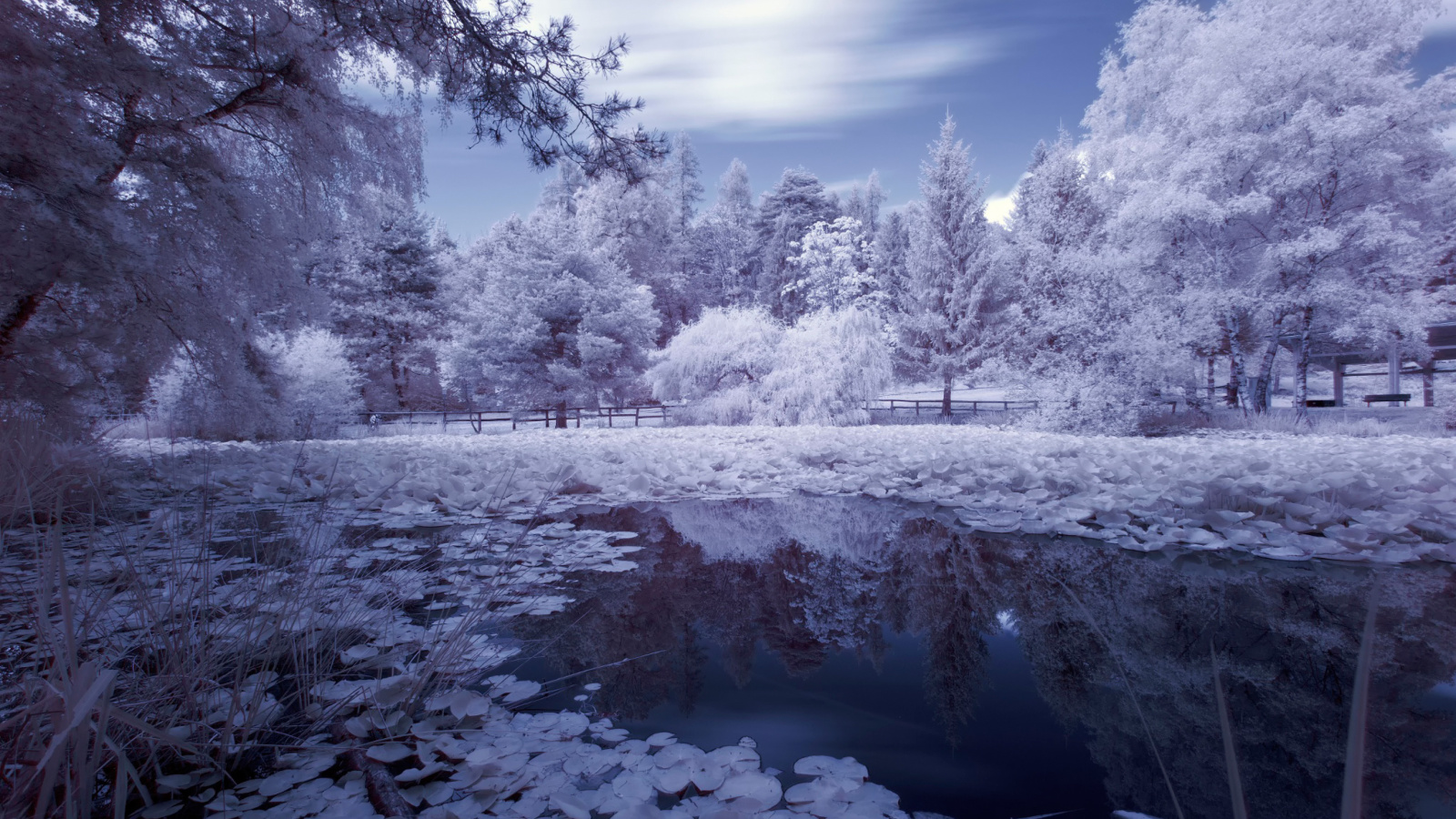 Screenshot №1 pro téma Frozen Pond 1600x900