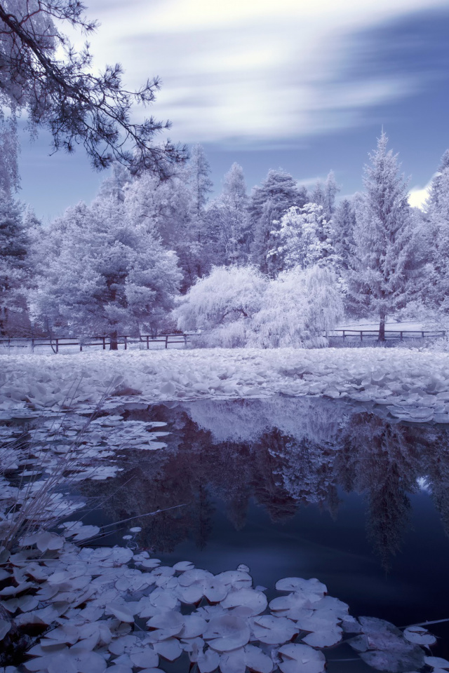 Screenshot №1 pro téma Frozen Pond 640x960
