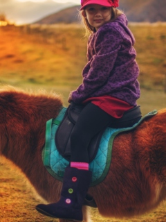 Обои Little Girl On Pony 240x320