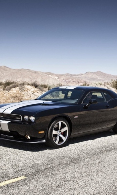 Screenshot №1 pro téma Dodge Challenger Srt8 240x400