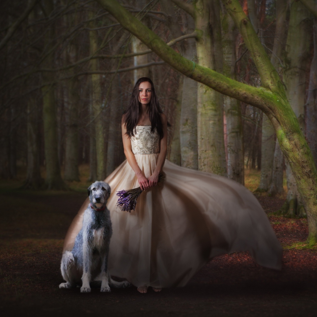 Screenshot №1 pro téma Girl, Lavender Bouquet And Dog 1024x1024