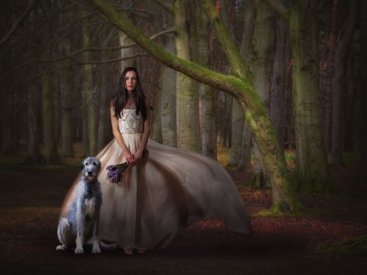 Screenshot №1 pro téma Girl, Lavender Bouquet And Dog 1280x960