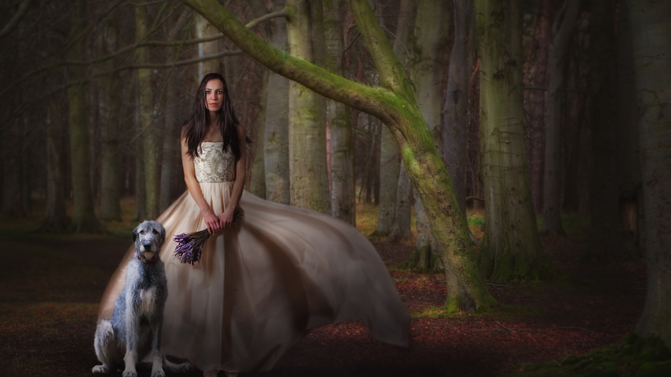 Screenshot №1 pro téma Girl, Lavender Bouquet And Dog 1366x768