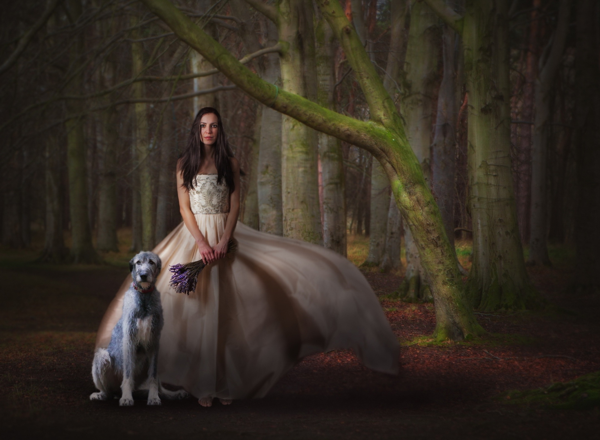 Screenshot №1 pro téma Girl, Lavender Bouquet And Dog 1920x1408